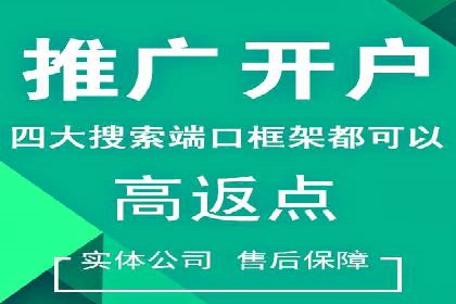 百度推广优化策略：成功案例解析